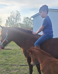 Fundraising Page Image