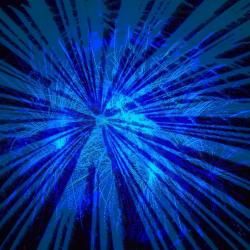 Fundraising Page Image